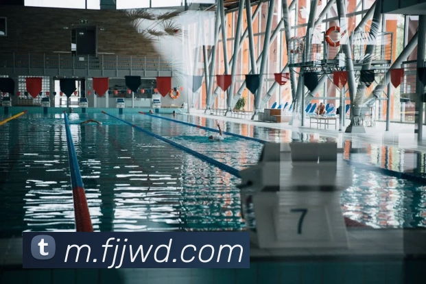 问鼎28发展历程